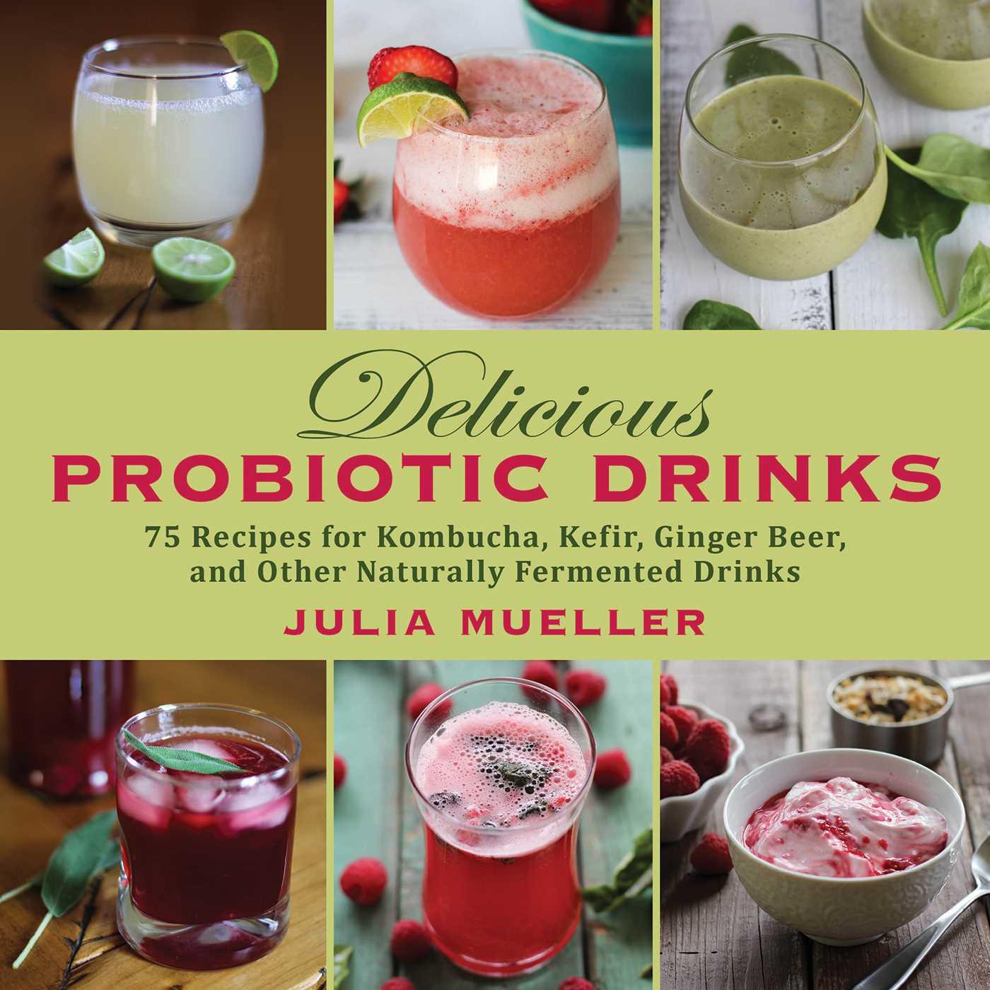 Vorderes Coverbild Delicious Probiotic Drinks