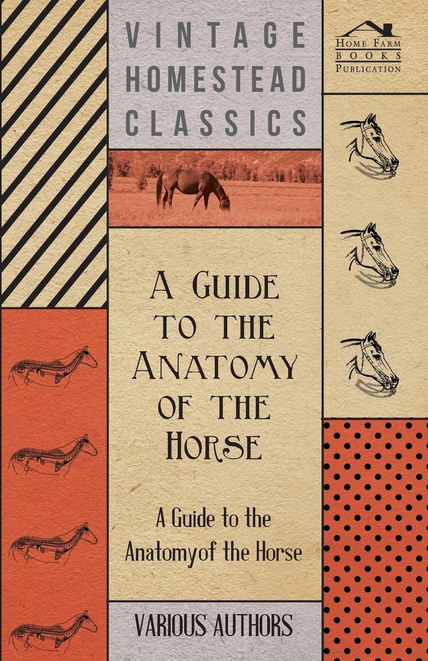 Vorderes Coverbild A   Guide to the Anatomy of the Horse - A Collection of Historical Articles on the Skeleton, Hoof, Teeth, Locomotion and Other Aspects of Equine Anato