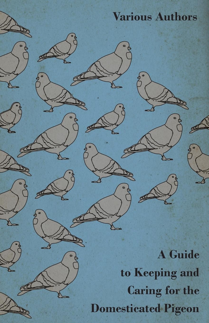 Vorderes Coverbild A Guide to Keeping and Caring for the Domesticated Pigeon