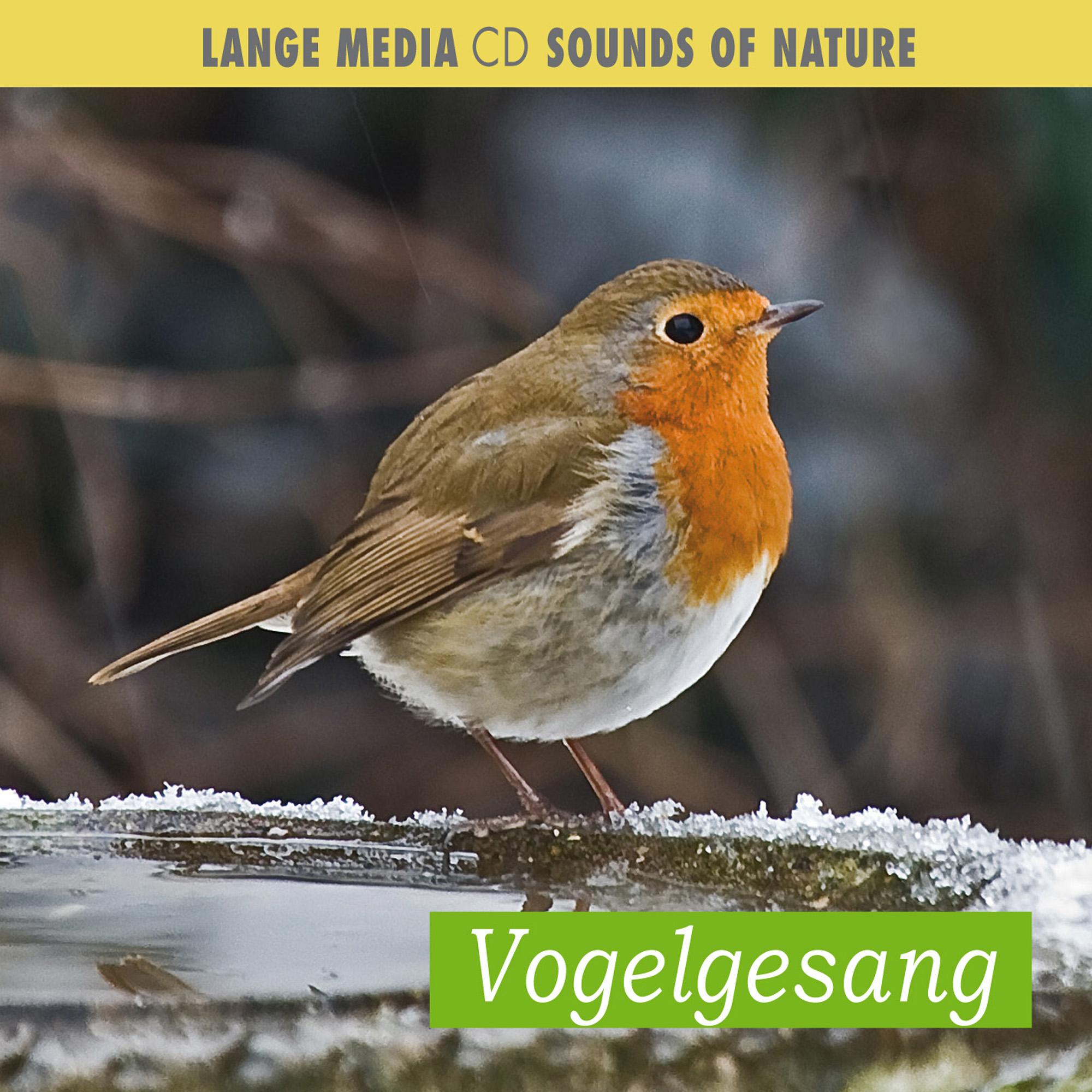 Vorderes Coverbild Naturgeräusche - Vogelgesang