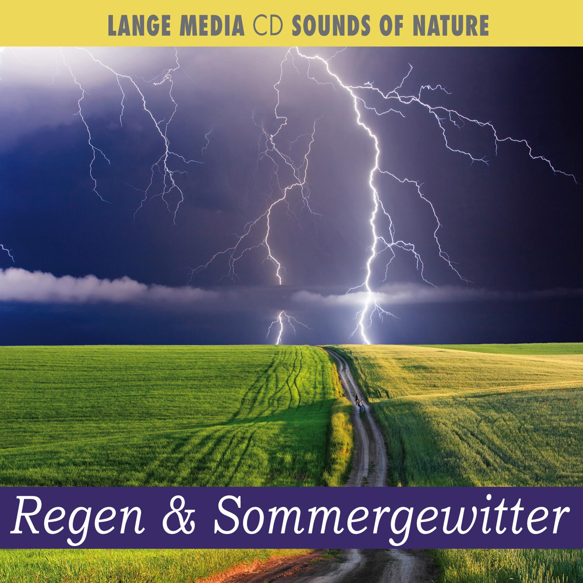 Vorderes Coverbild Naturgeräusche - Regen & Sommergewitter