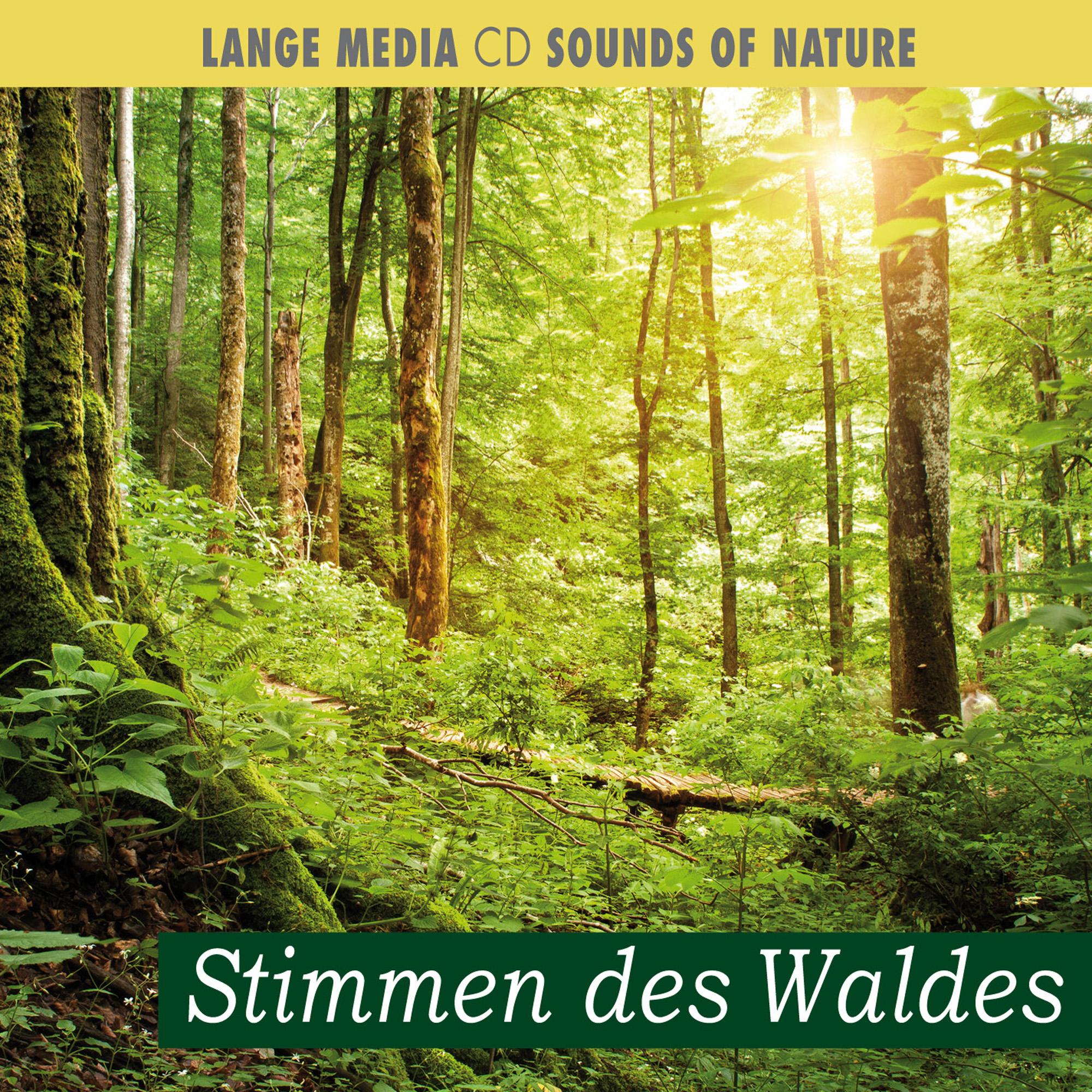 Vorderes Coverbild Naturgeräusche - Stimmen des Waldes