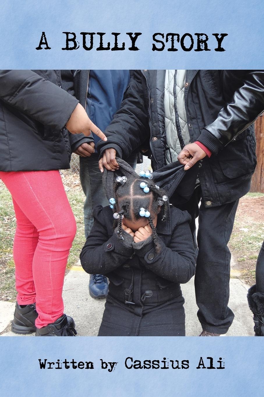 Vorderes Coverbild A Bully Story