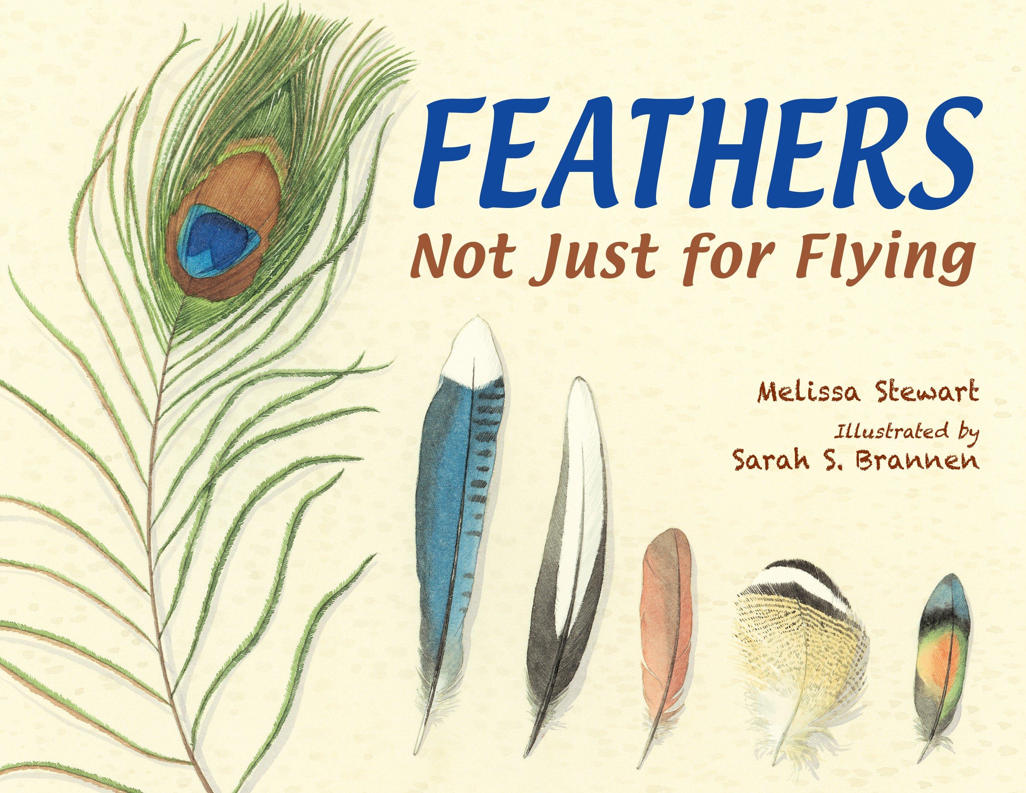 Vorderes Coverbild Feathers