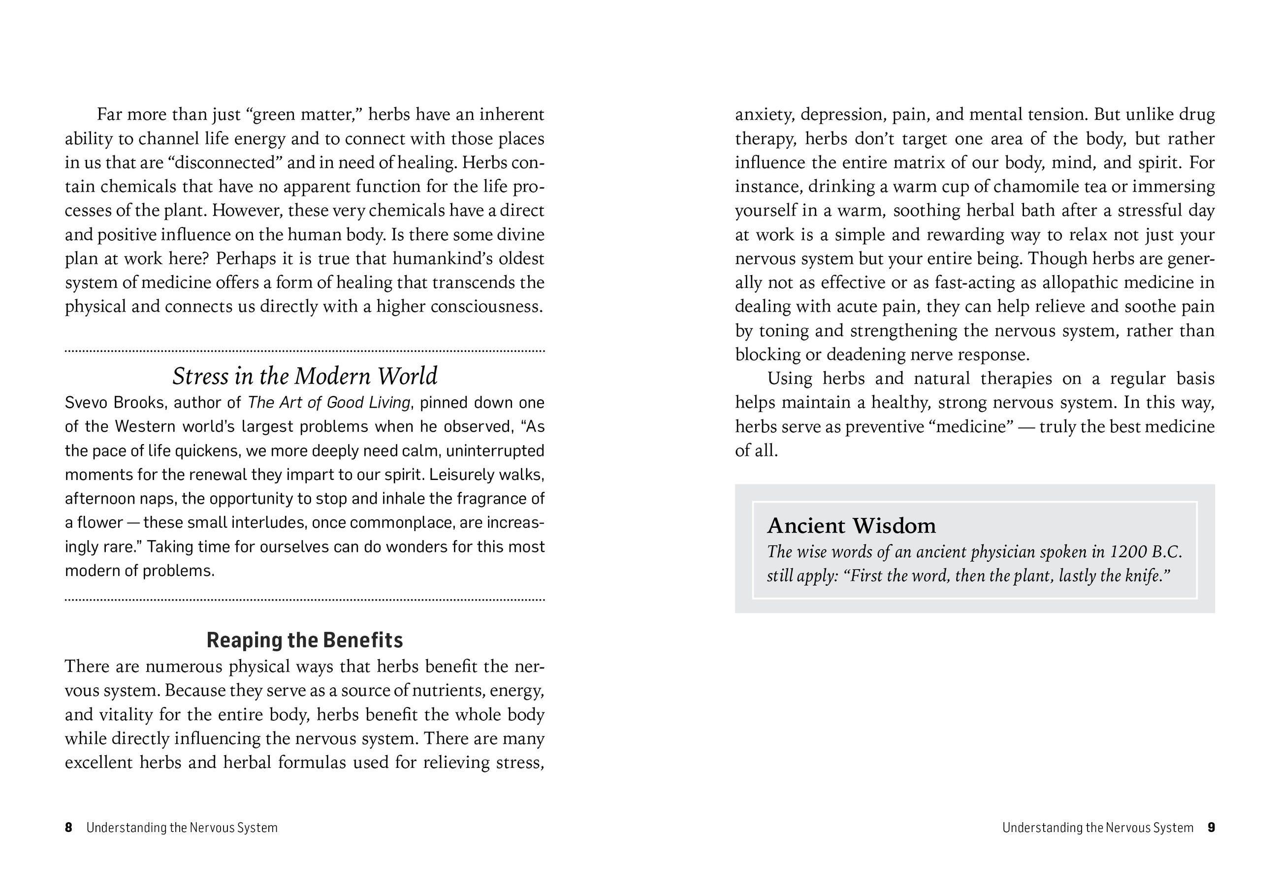 Beispielinhalt (Bild) Herbs for Stress & Anxiety