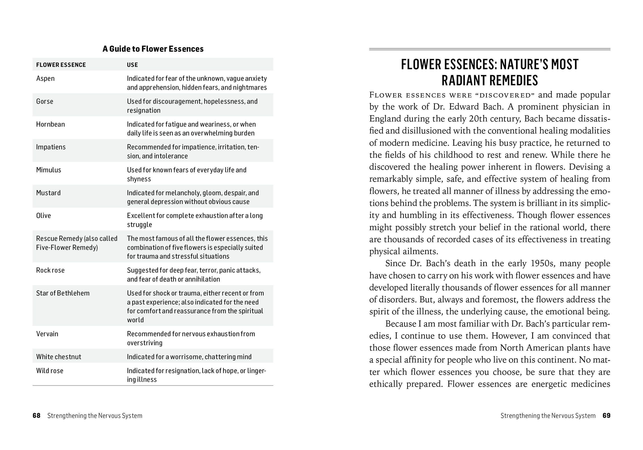 Beispielinhalt (Bild) Herbs for Stress & Anxiety