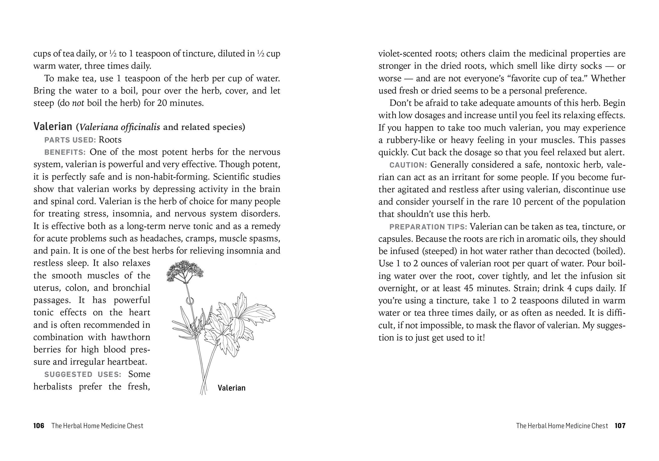 Beispielinhalt (Bild) Herbs for Stress & Anxiety