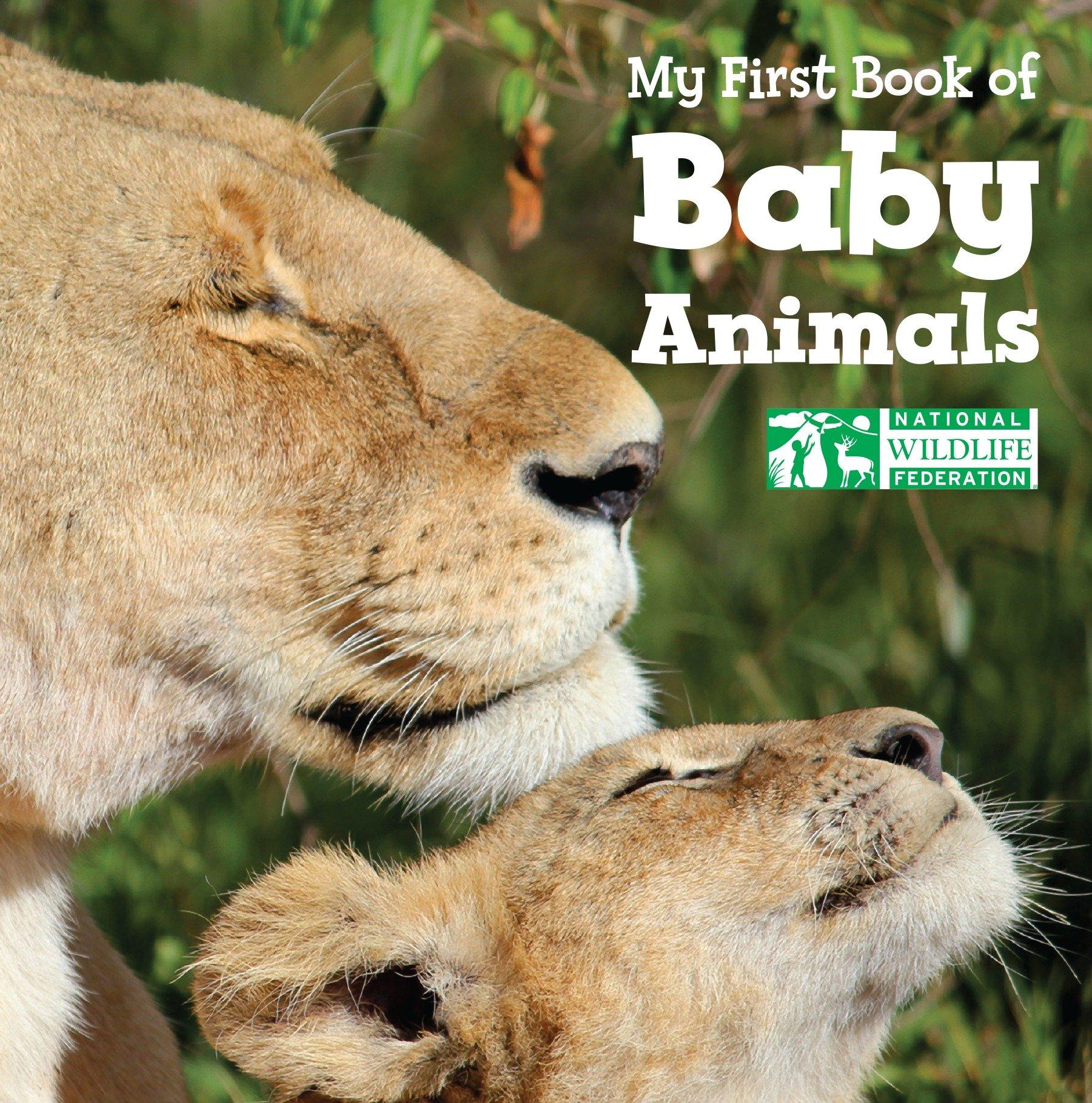Vorderes Coverbild My First Book of Baby Animals