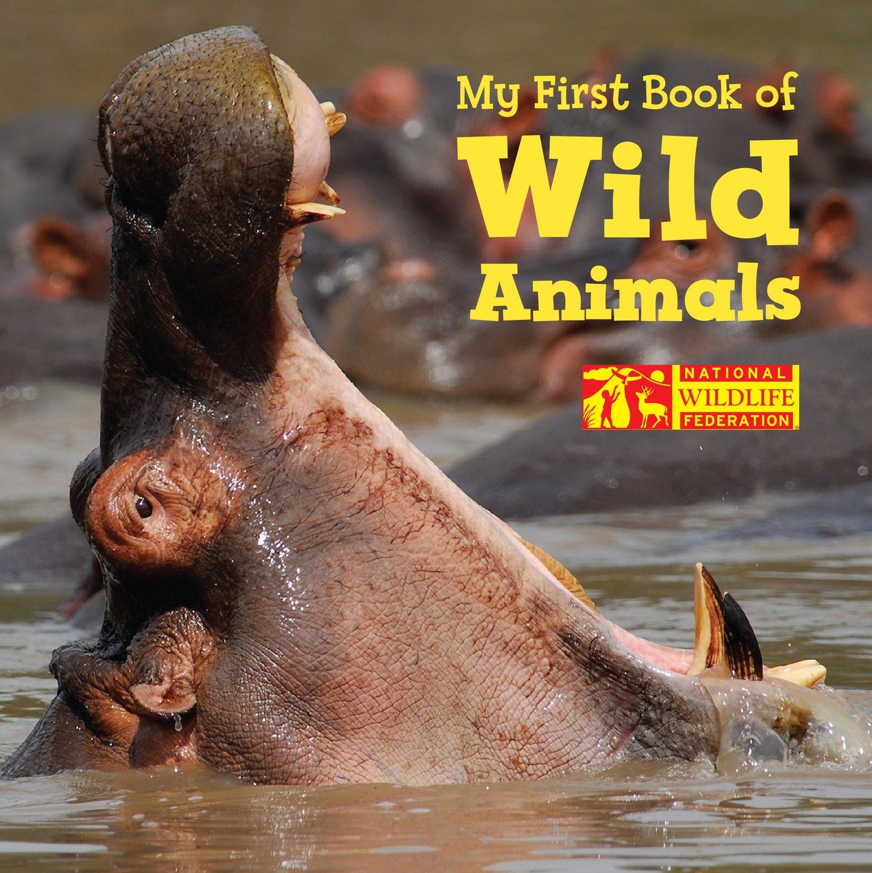 Vorderes Coverbild My First Book of Wild Animals