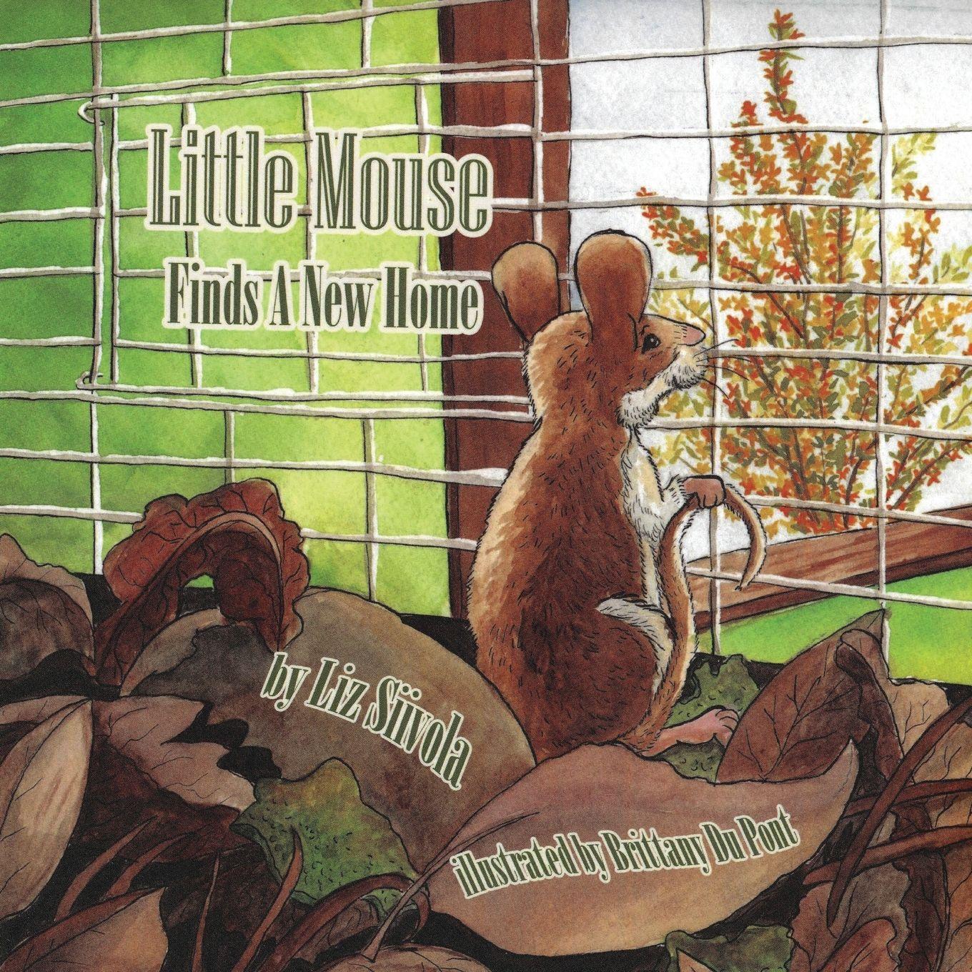 Vorderes Coverbild Little Mouse Finds a New Home