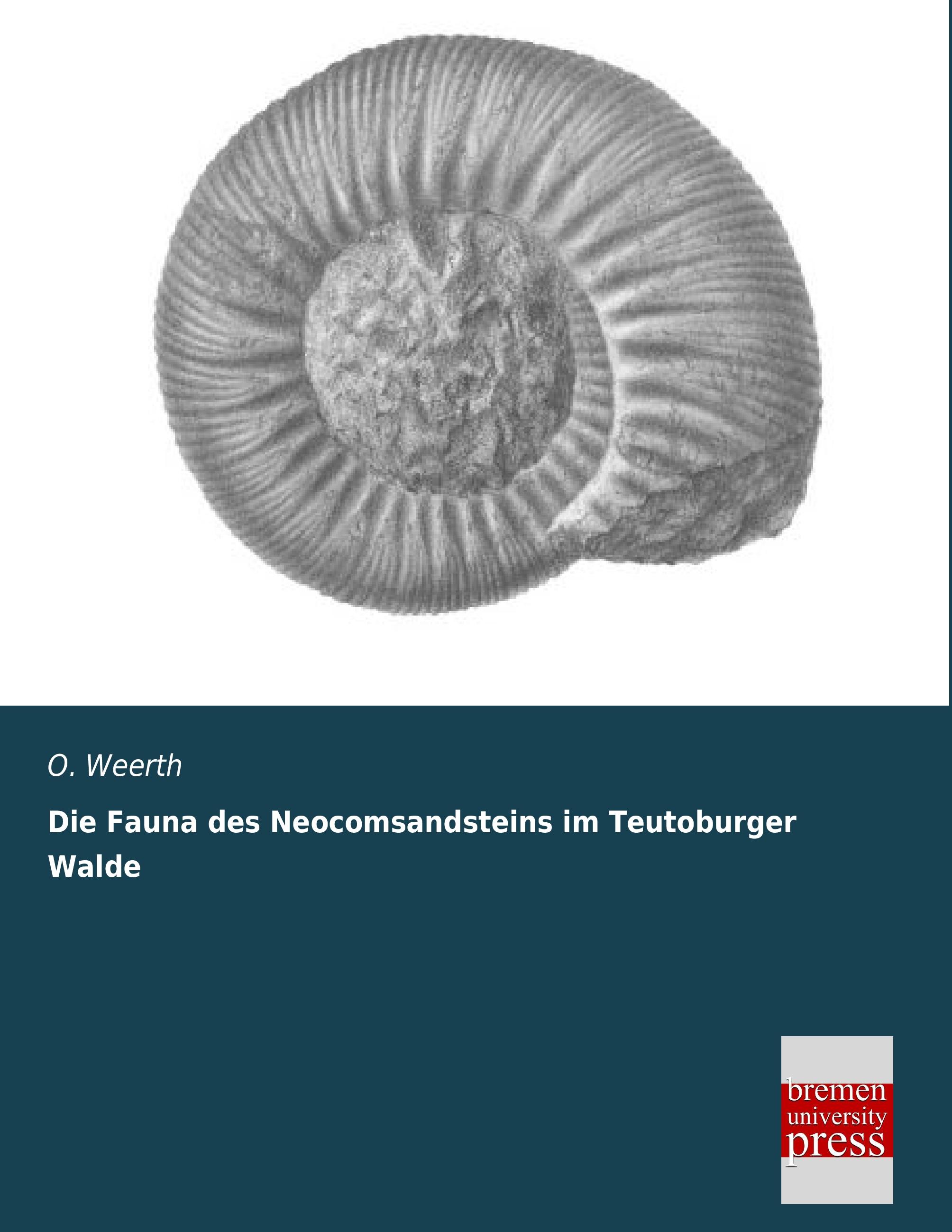 Vorderes Coverbild Die Fauna des Neocomsandsteins im Teutoburger Walde