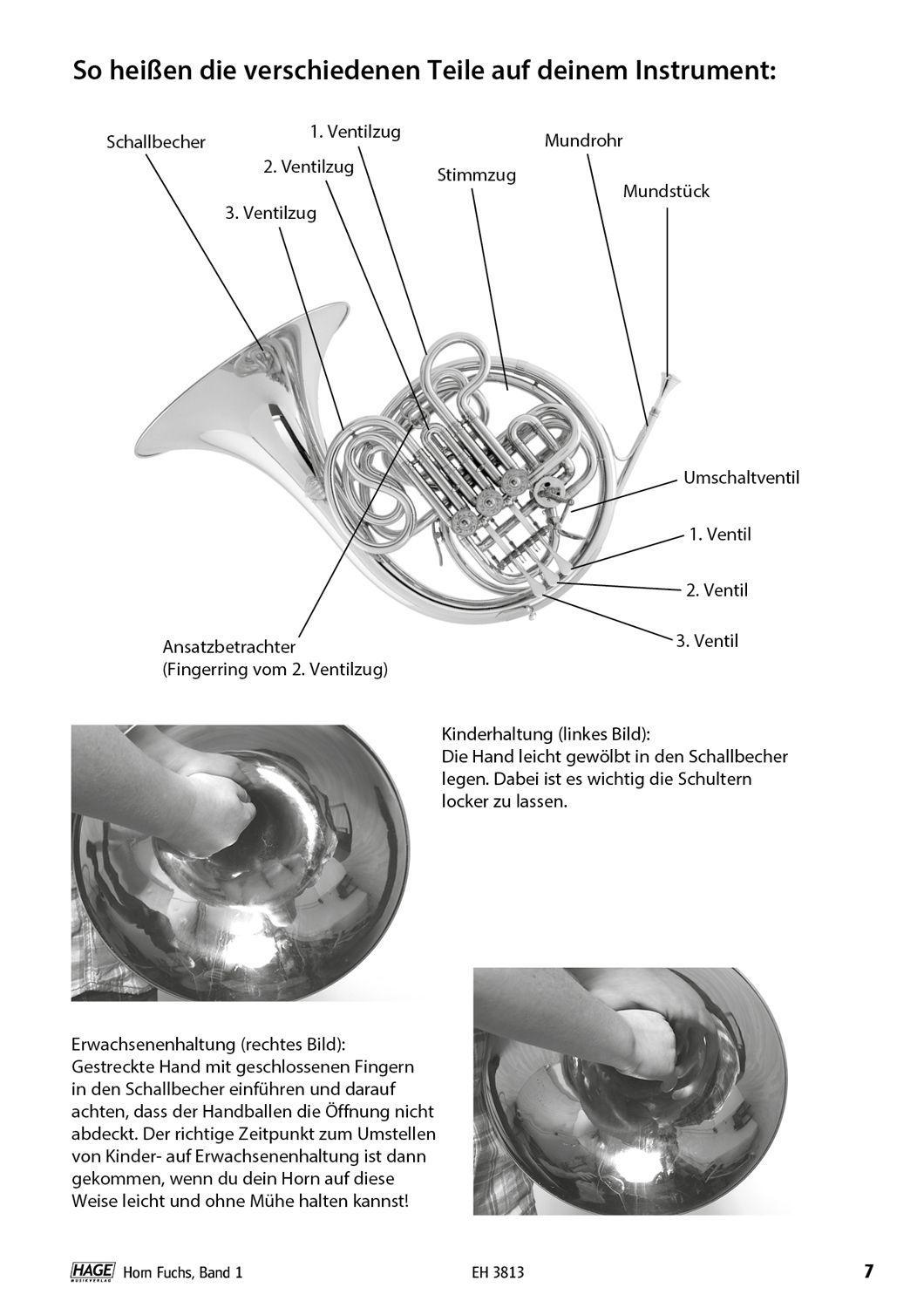 Beispielinhalt (Bild) Horn Fuchs Band 1