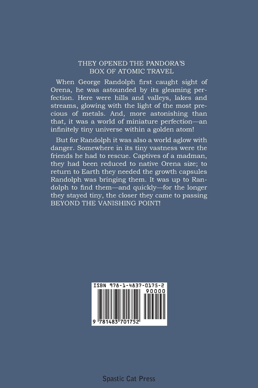 Rückseitencover Beyond the Vanishing Point