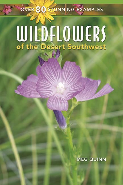 Vorderes Coverbild WILDFLOWERS OF THE DESERT SOUT