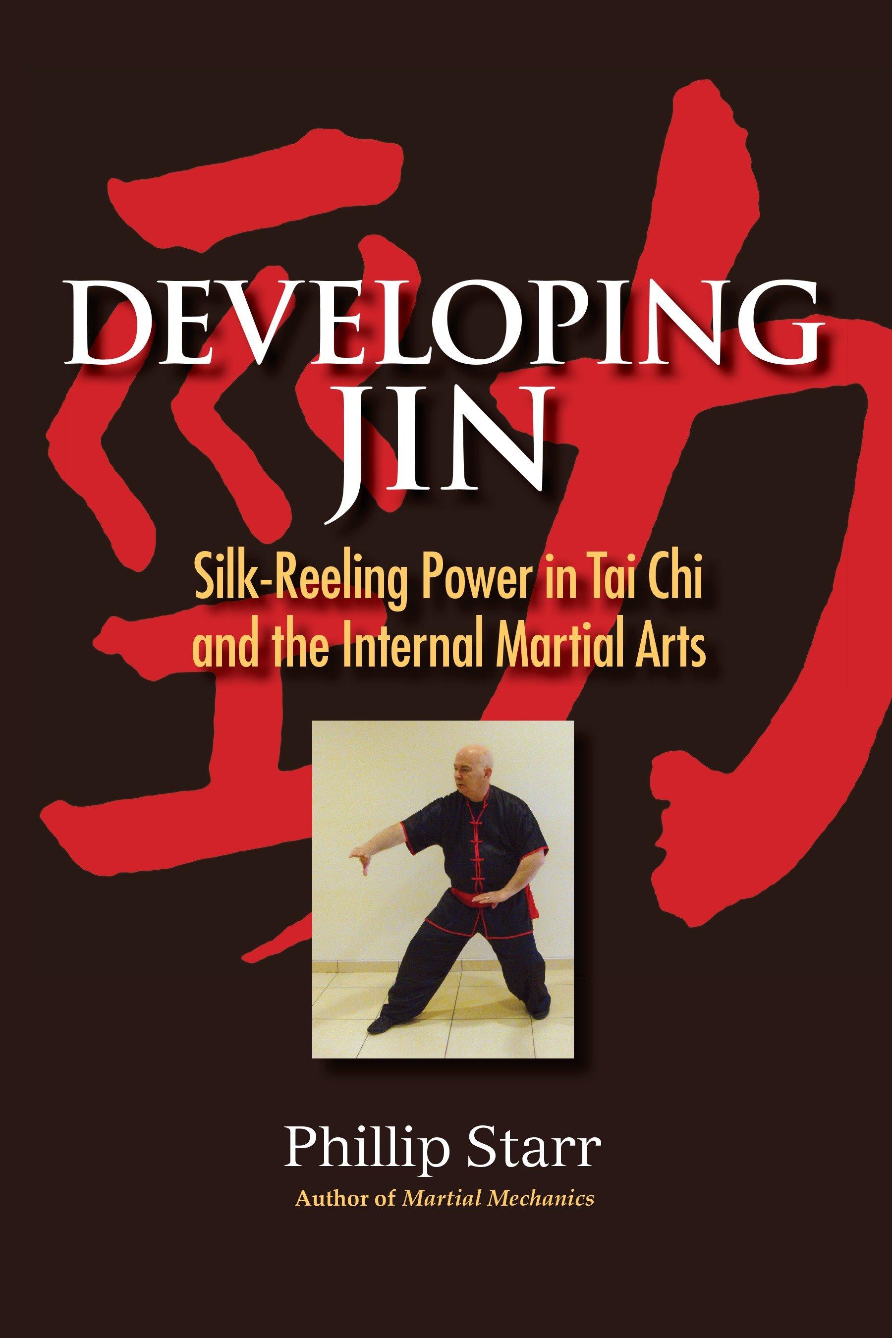 Vorderes Coverbild Developing Jin