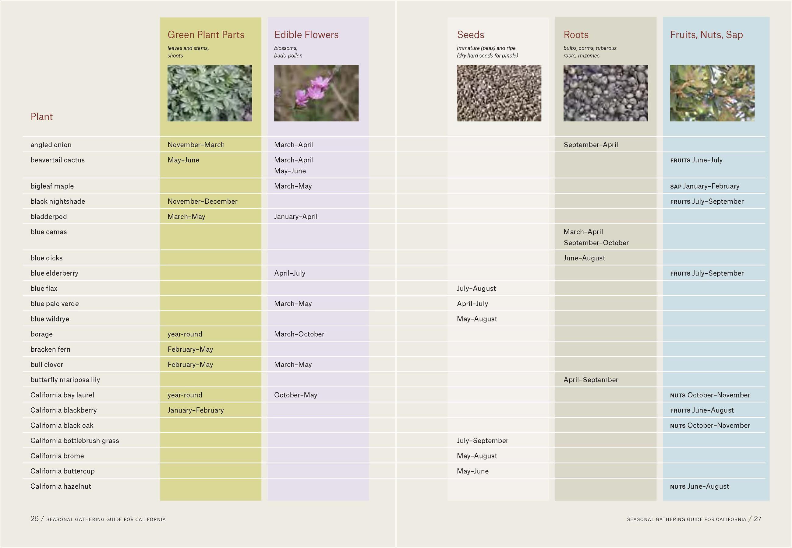 Beispielinhalt (Bild) California Foraging