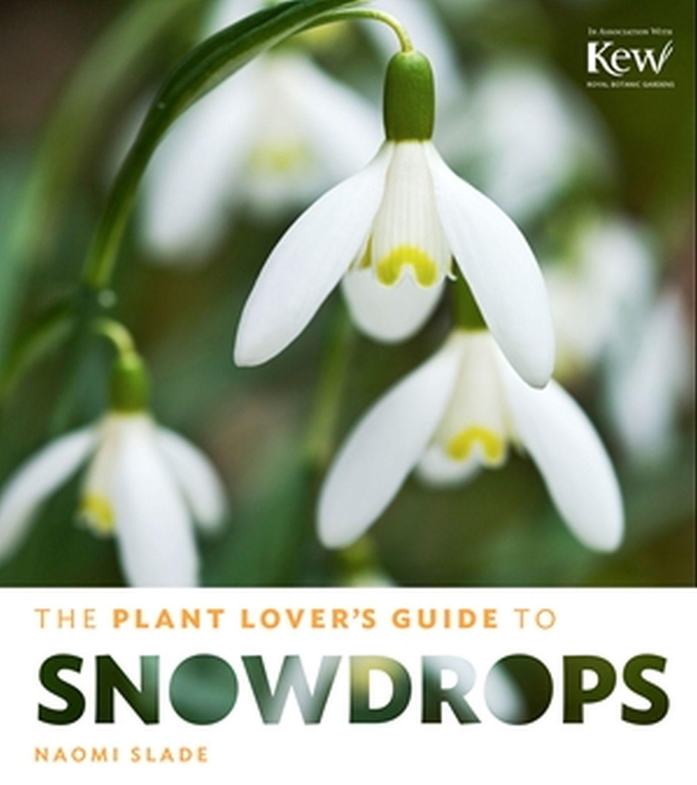 Vorderes Coverbild The Plant Lover's Guide to Snowdrops