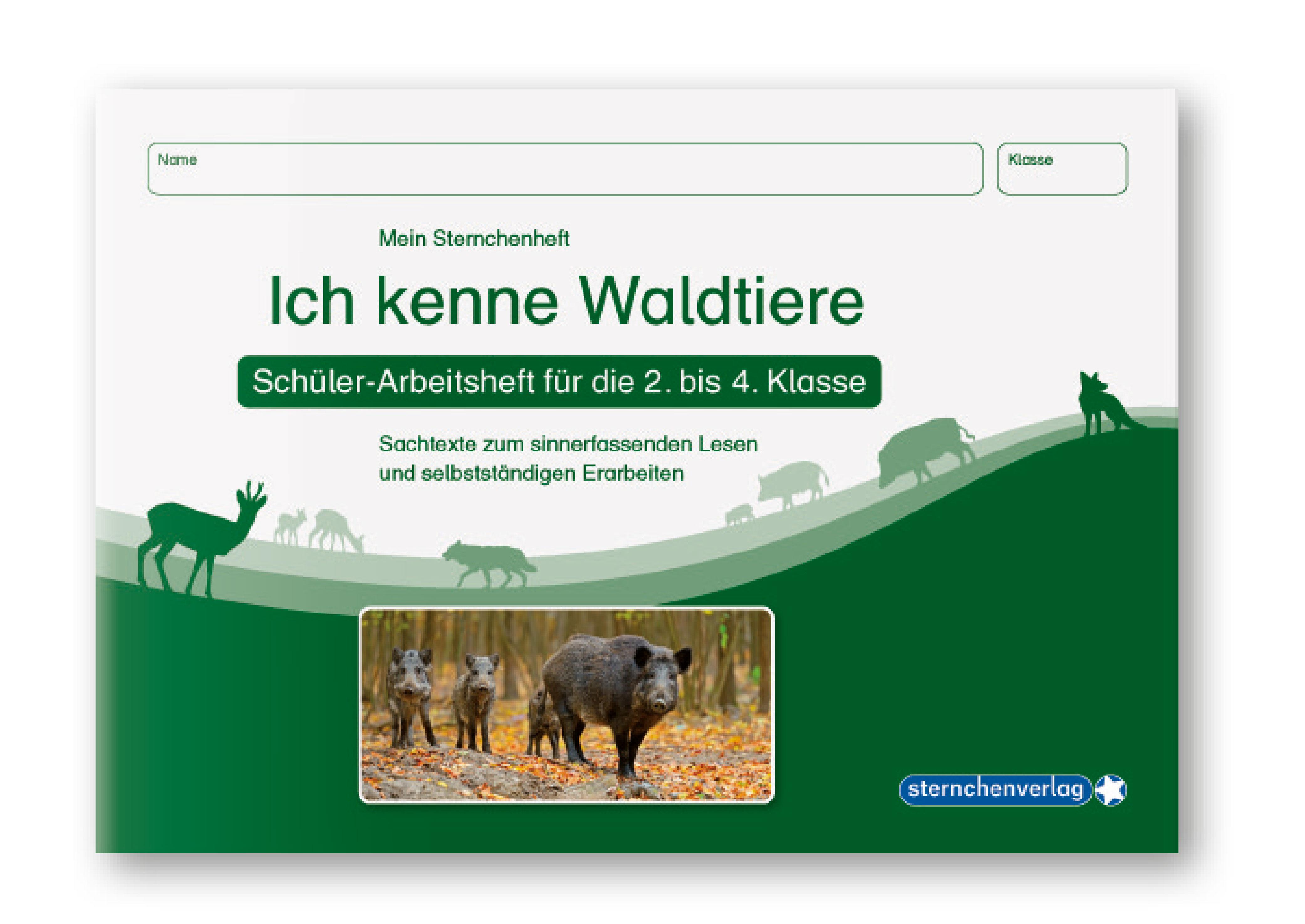 Beispielinhalt (Bild) Ich kenne Waldtiere / Haus- und Hoftiere / Insekten und Spinnen. 3 Schülerarbeitshefte im Kombi für die 2. bis 4. Klasse