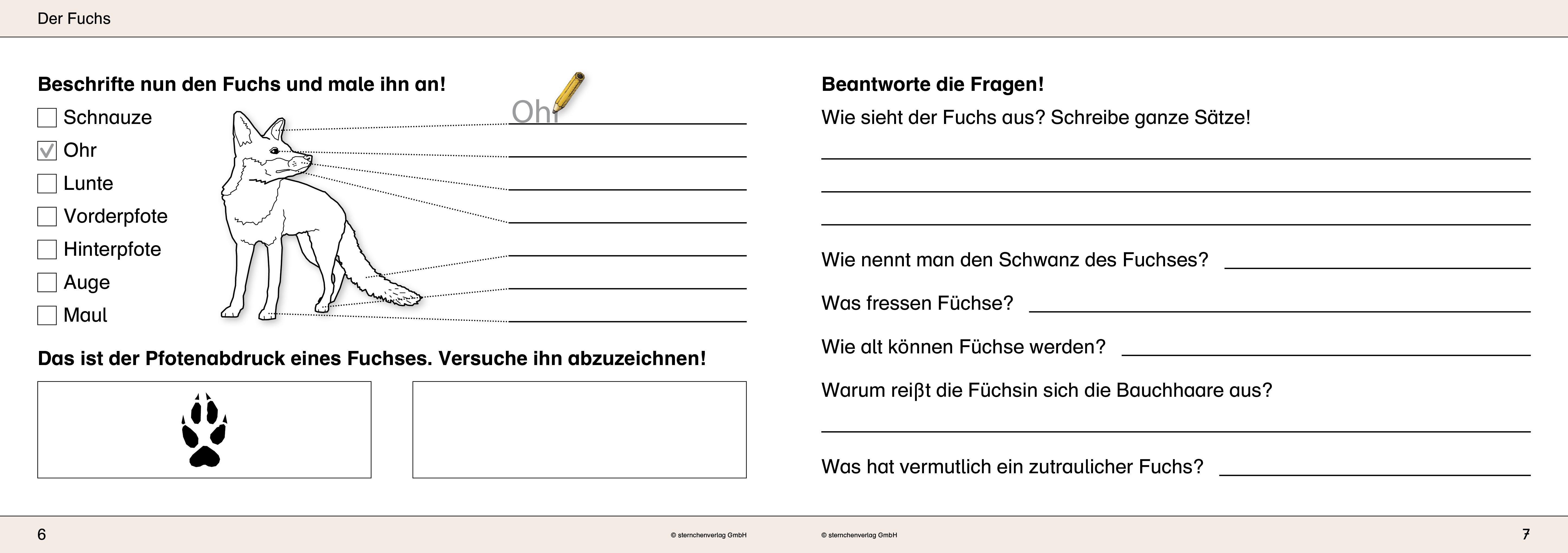 Beispielinhalt (Bild) Ich kenne Waldtiere / Haus- und Hoftiere / Insekten und Spinnen. 3 Schülerarbeitshefte im Kombi für die 2. bis 4. Klasse