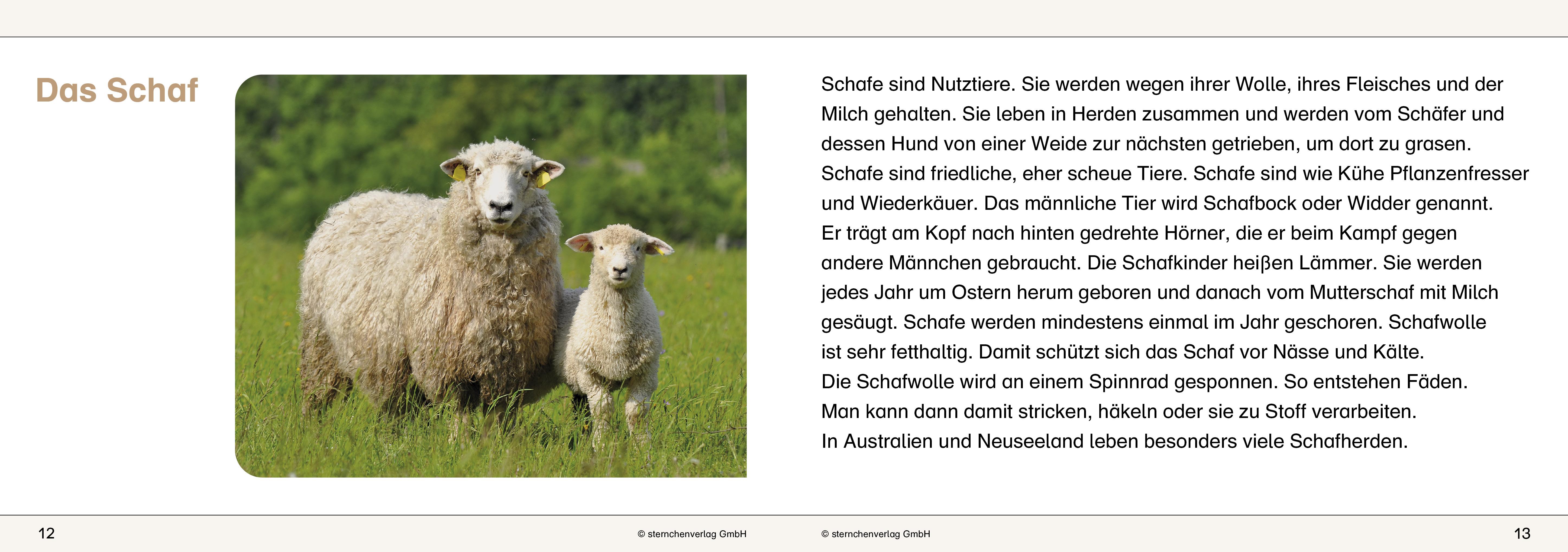 Beispielinhalt (Bild) Ich kenne Waldtiere / Haus- und Hoftiere / Insekten und Spinnen. 3 Schülerarbeitshefte im Kombi für die 2. bis 4. Klasse