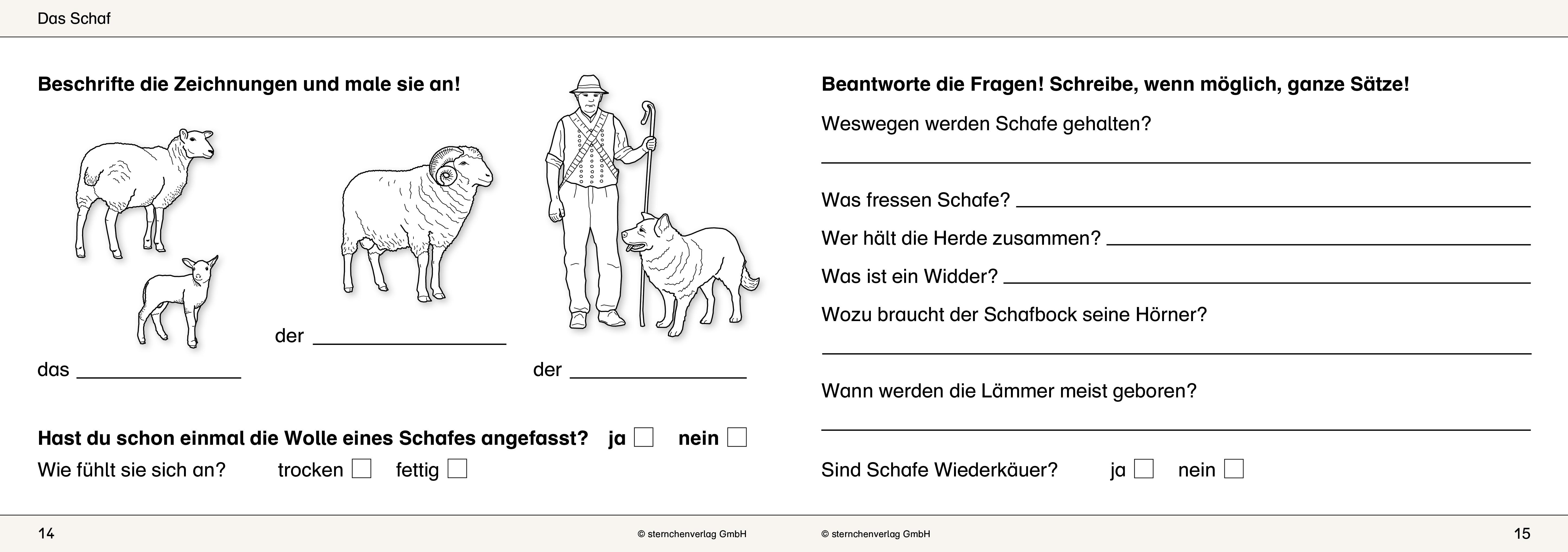 Beispielinhalt (Bild) Ich kenne Waldtiere / Haus- und Hoftiere / Insekten und Spinnen. 3 Schülerarbeitshefte im Kombi für die 2. bis 4. Klasse