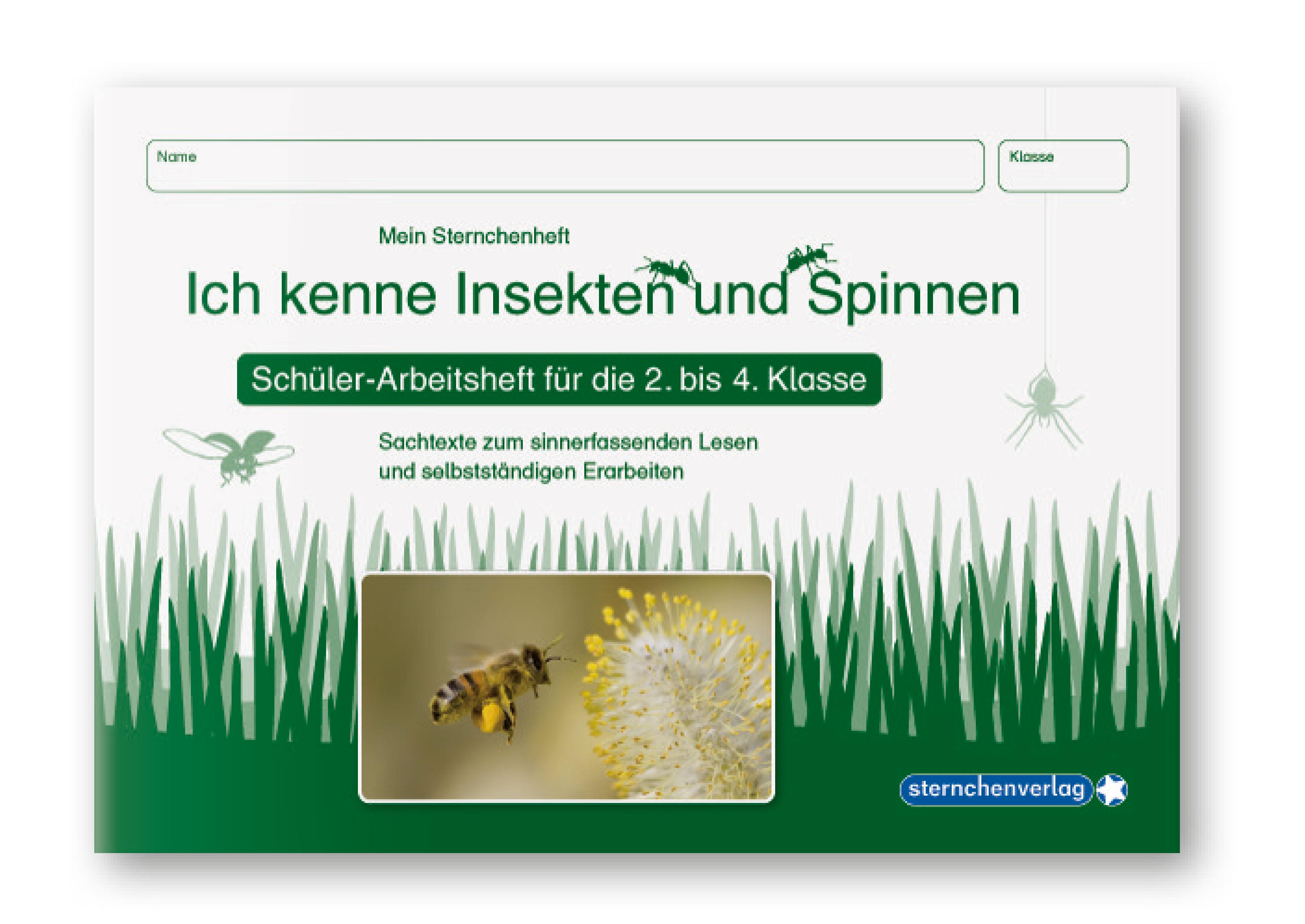 Beispielinhalt (Bild) Ich kenne Waldtiere / Haus- und Hoftiere / Insekten und Spinnen. 3 Schülerarbeitshefte im Kombi für die 2. bis 4. Klasse