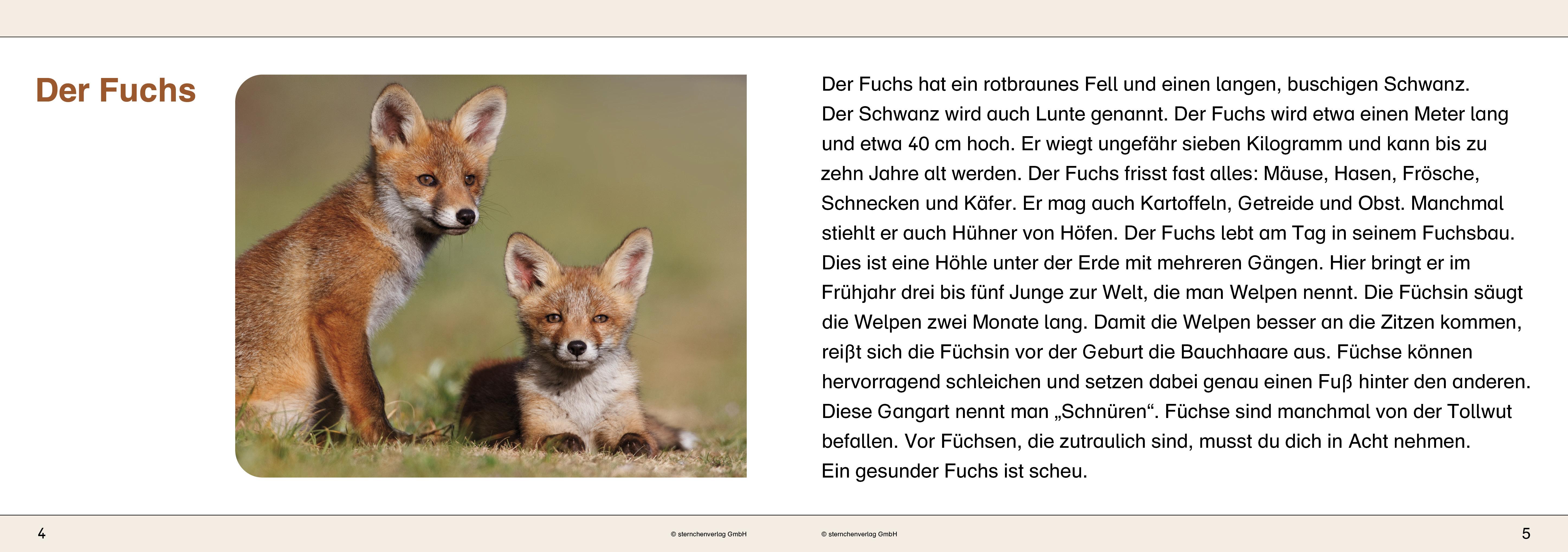 Beispielinhalt (Bild) Ich kenne Waldtiere / Haus- und Hoftiere / Insekten und Spinnen. 3 Schülerarbeitshefte im Kombi für die 2. bis 4. Klasse