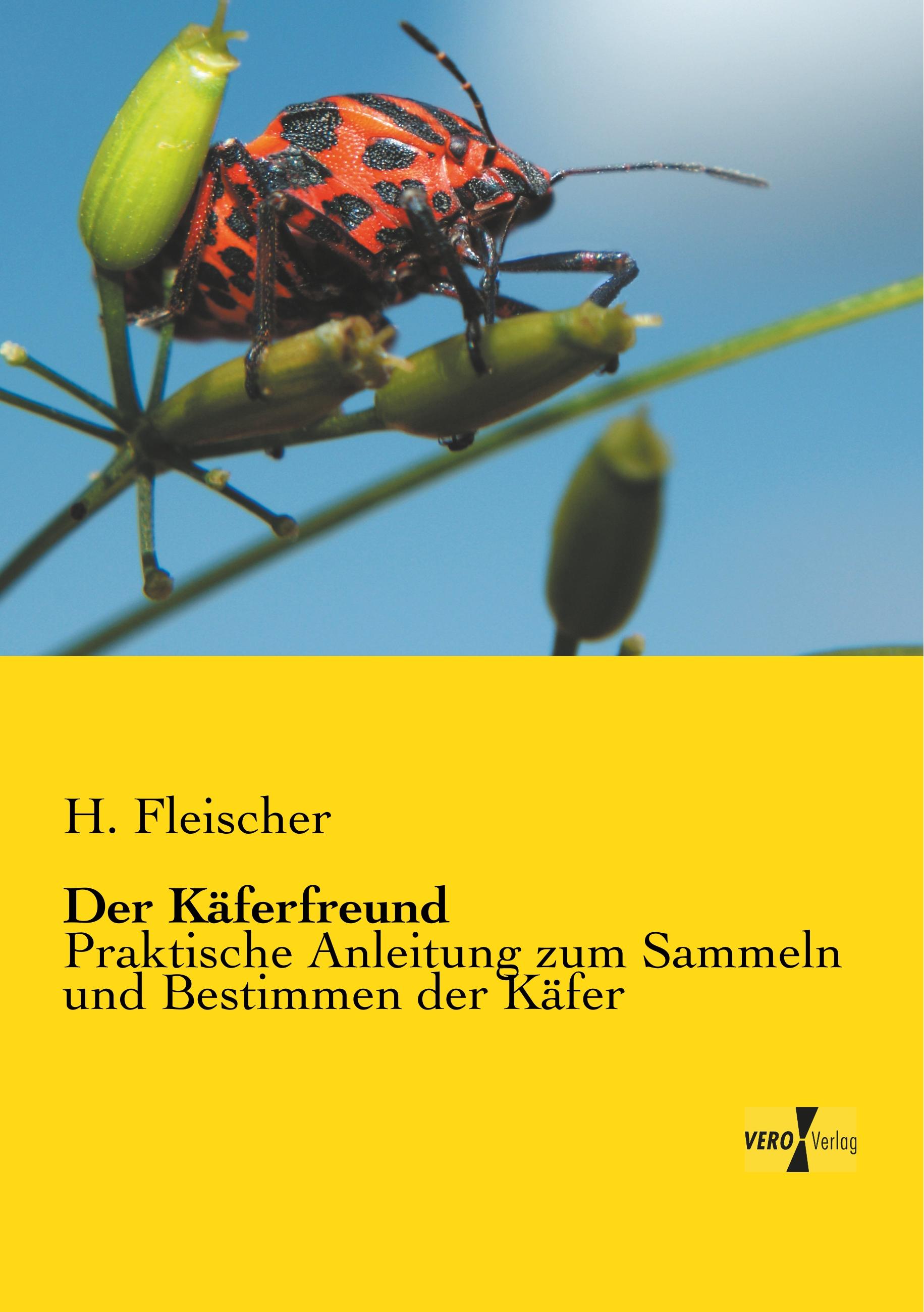 Vorderes Coverbild Der Käferfreund