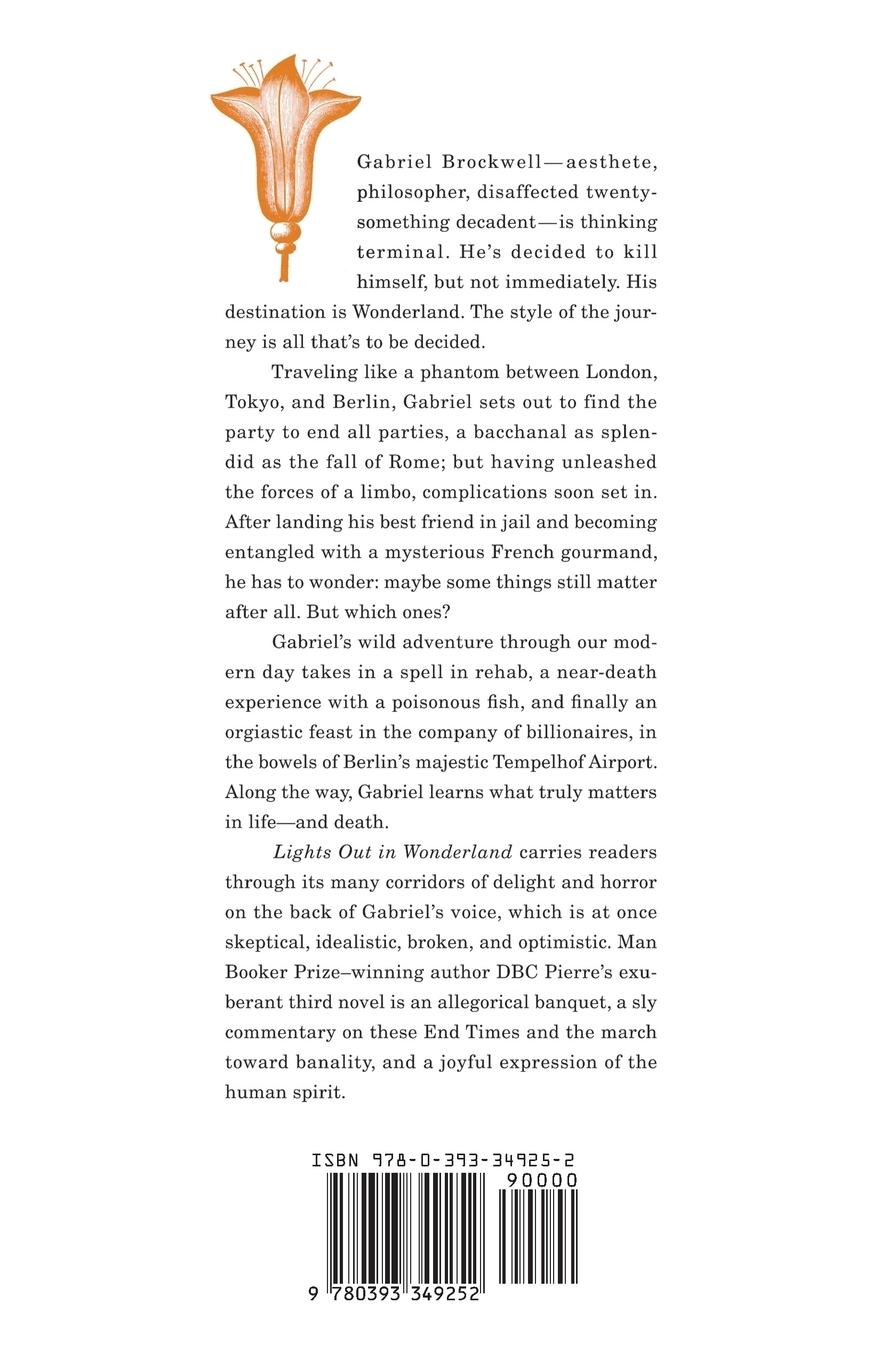 Rückseitencover Lights Out in Wonderland