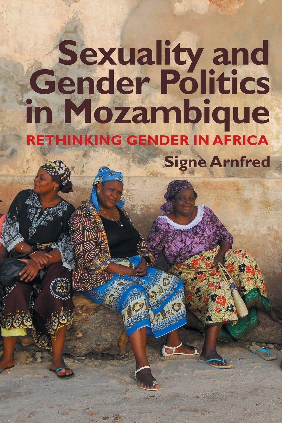 Vorderes Coverbild Sexuality and Gender Politics in Mozambique