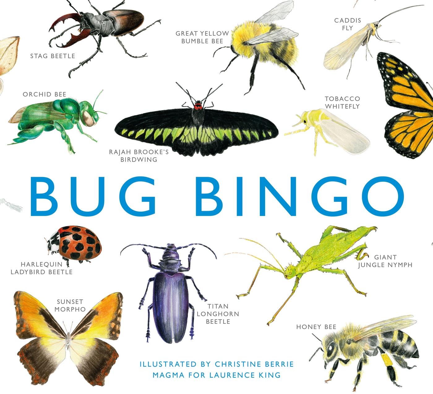 Vorderes Coverbild Bug Bingo