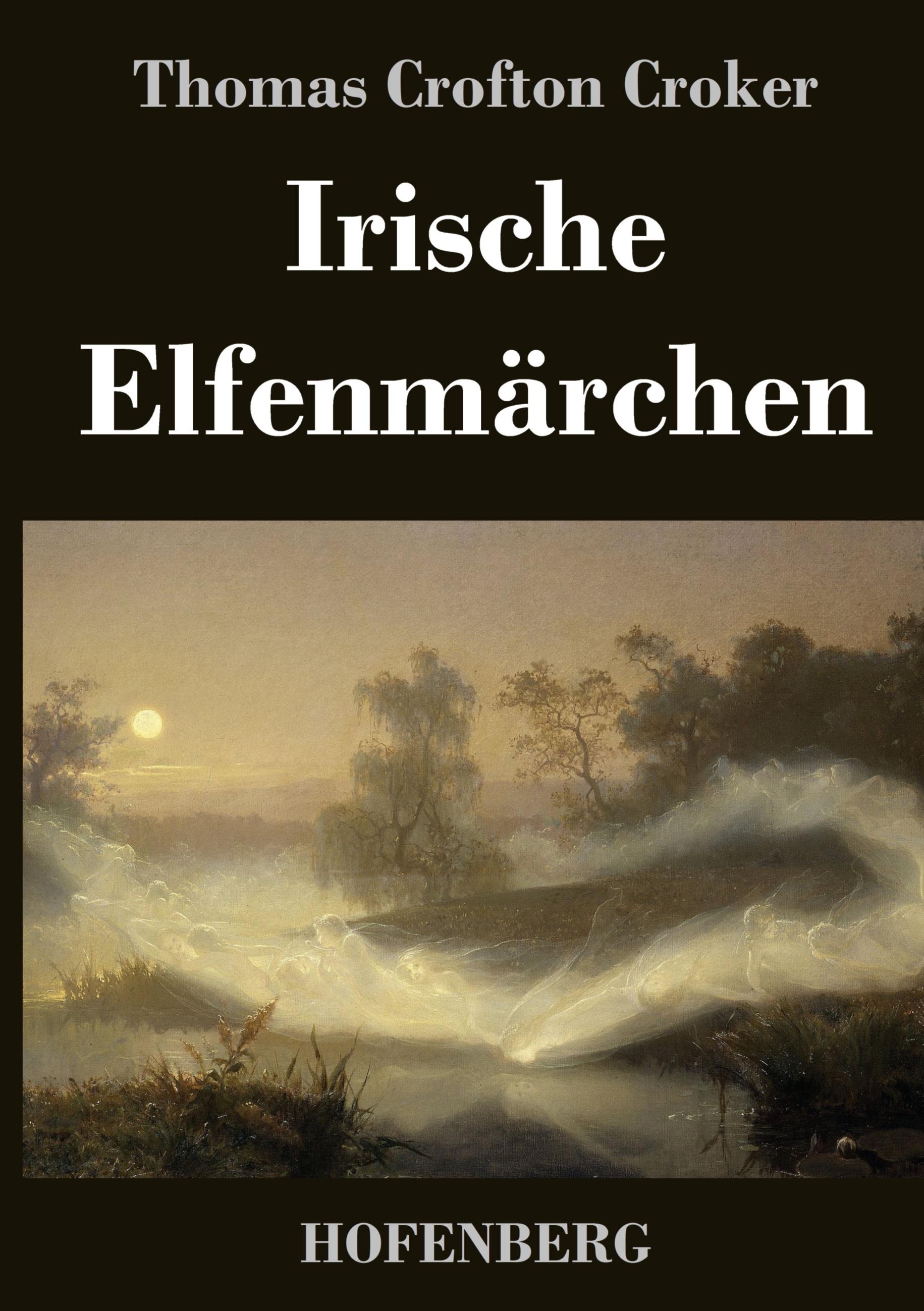 Vorderes Coverbild Irische Elfenmärchen