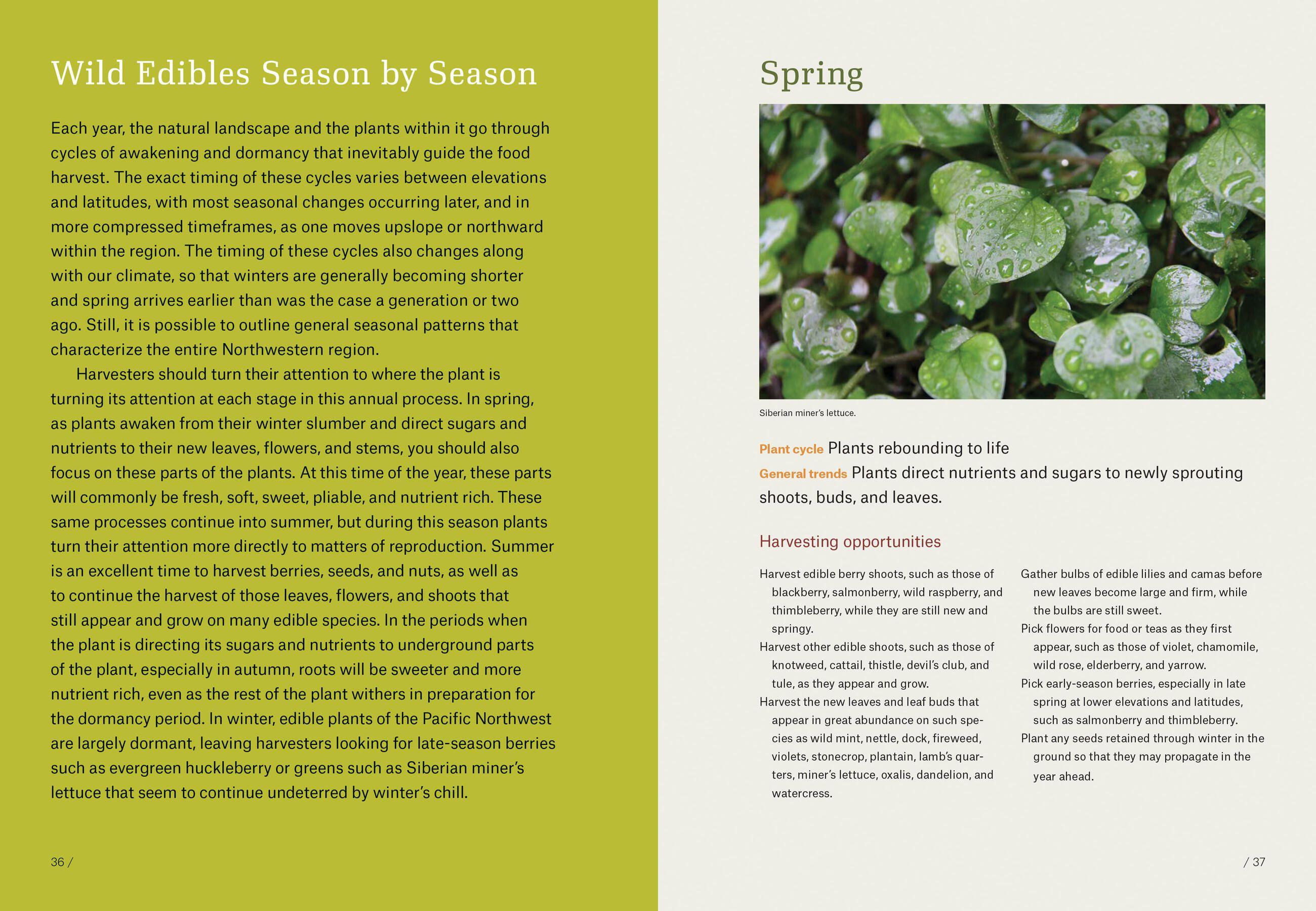 Beispielinhalt (Bild) Pacific Northwest Foraging