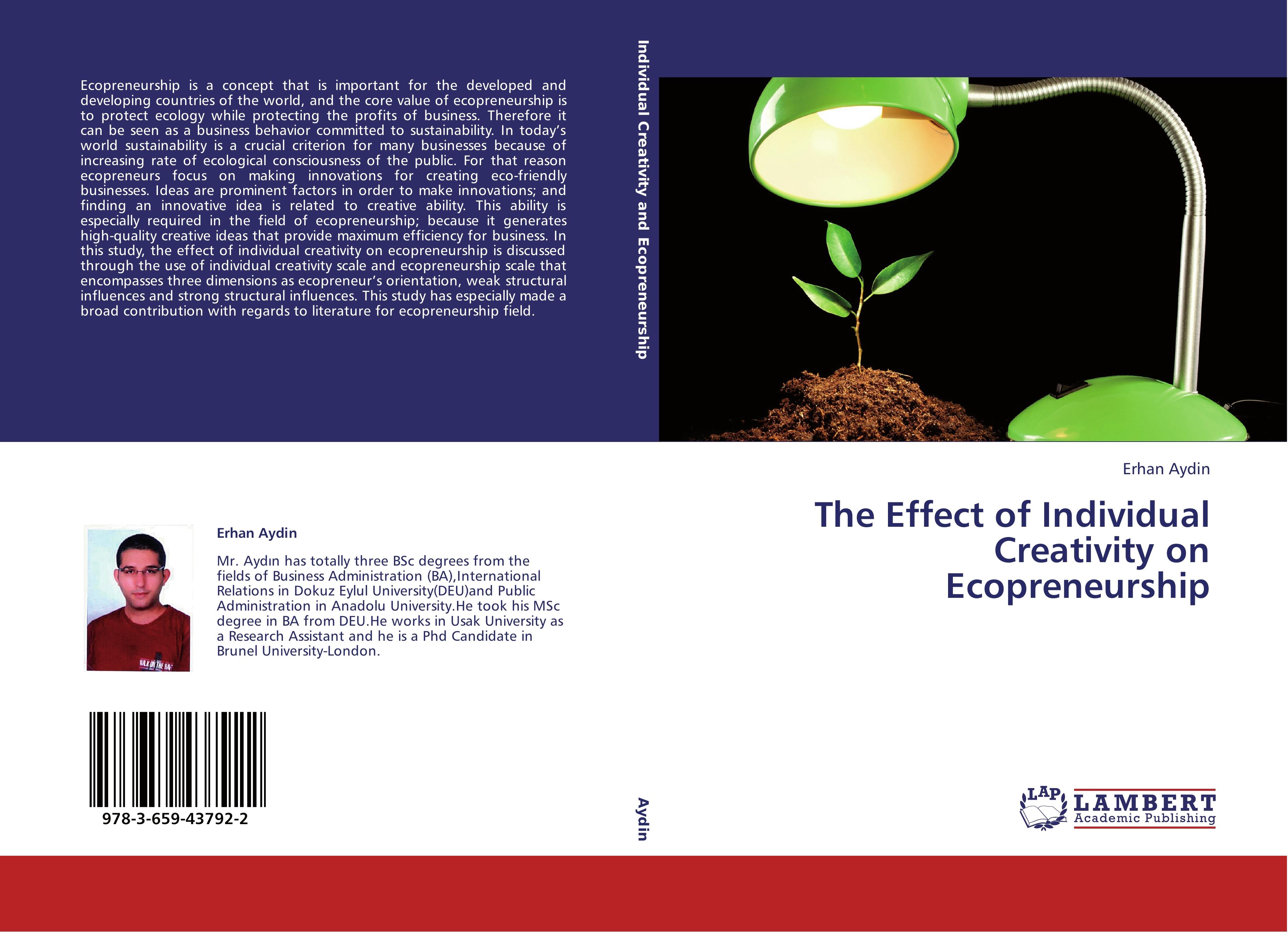 Vorderes Coverbild The Effect of Individual Creativity on Ecopreneurship