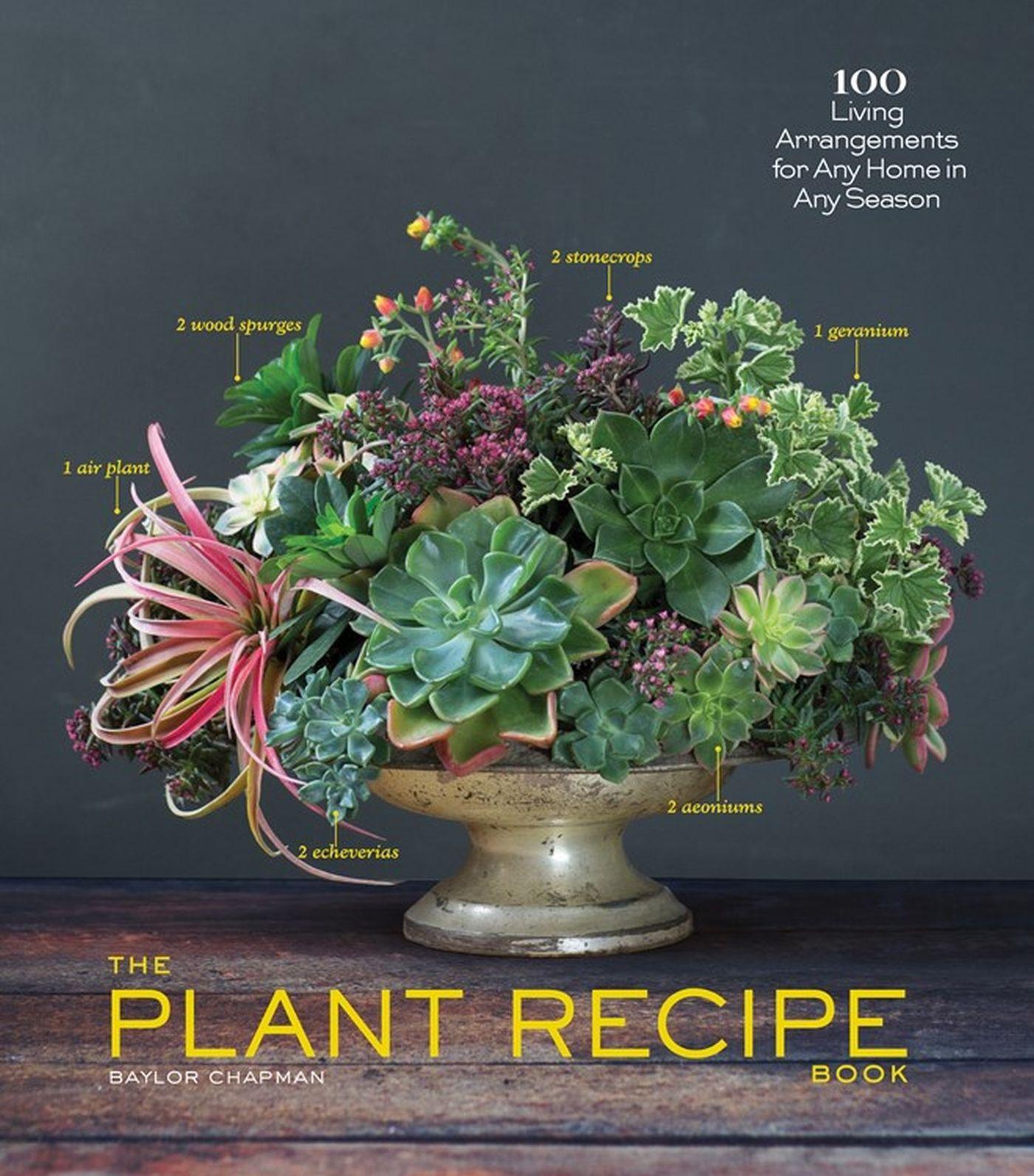 Vorderes Coverbild The Plant Recipe Book
