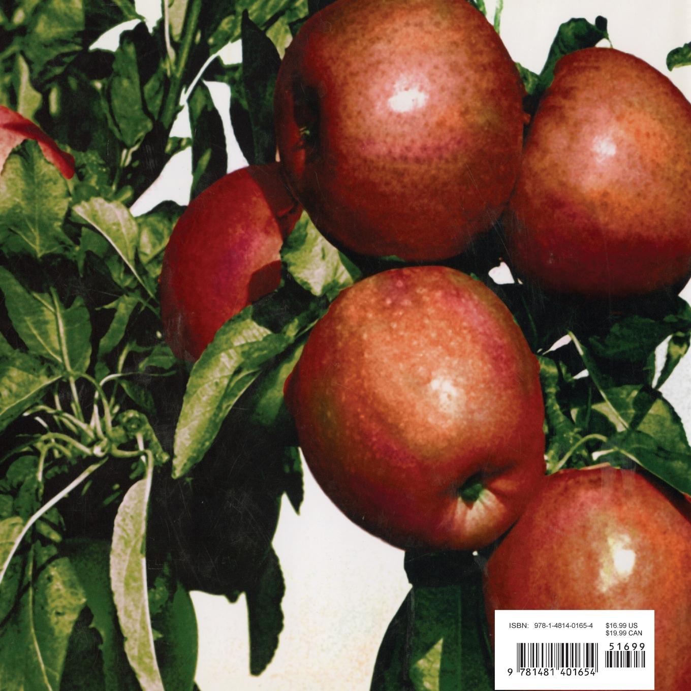 Rückseitencover Apples