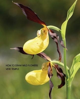 Vorderes Coverbild How to Draw Wild Flowers (Replica Edition)