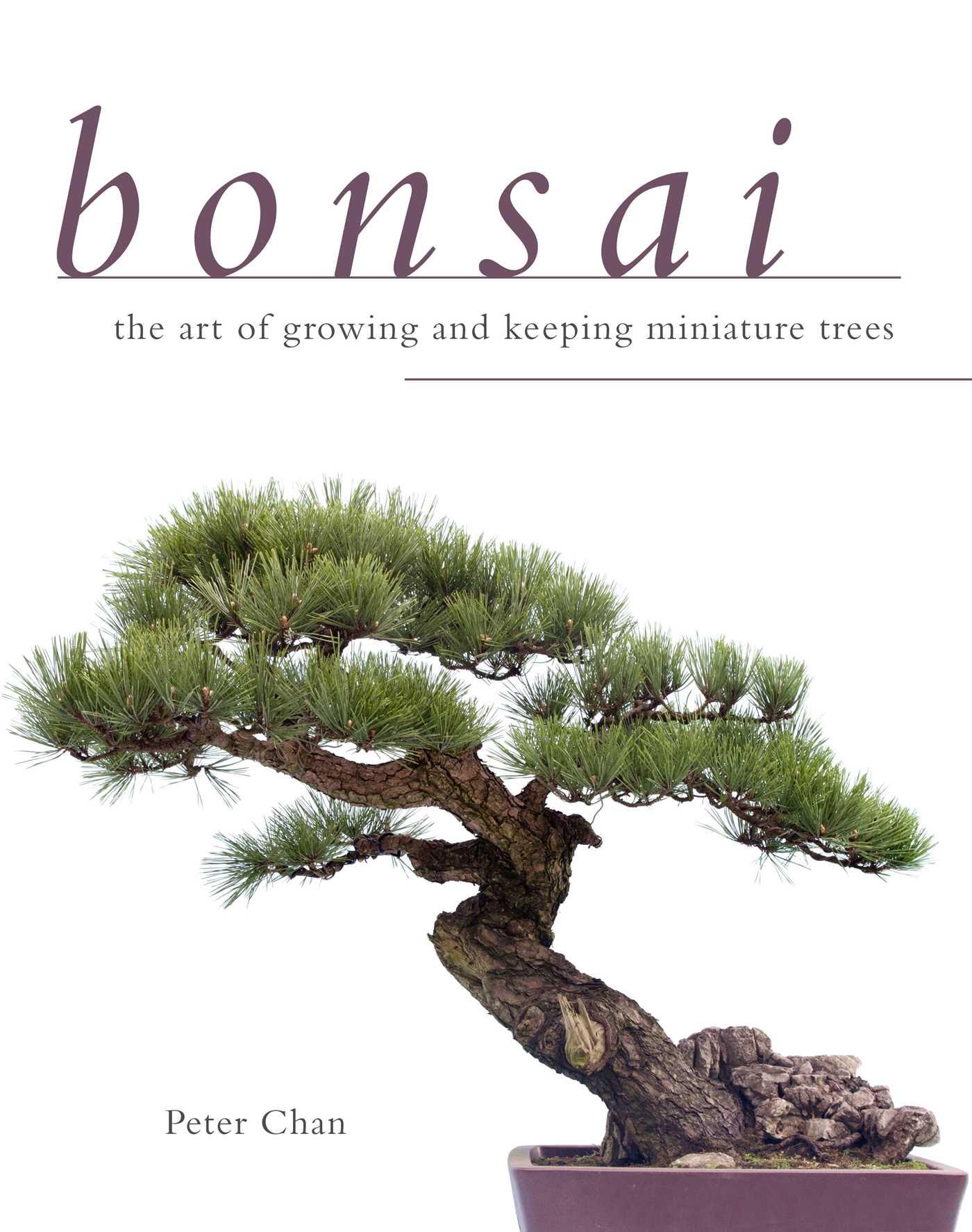 Vorderes Coverbild Bonsai
