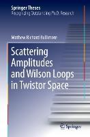 Vorderes Coverbild Scattering Amplitudes and Wilson Loops in Twistor Space