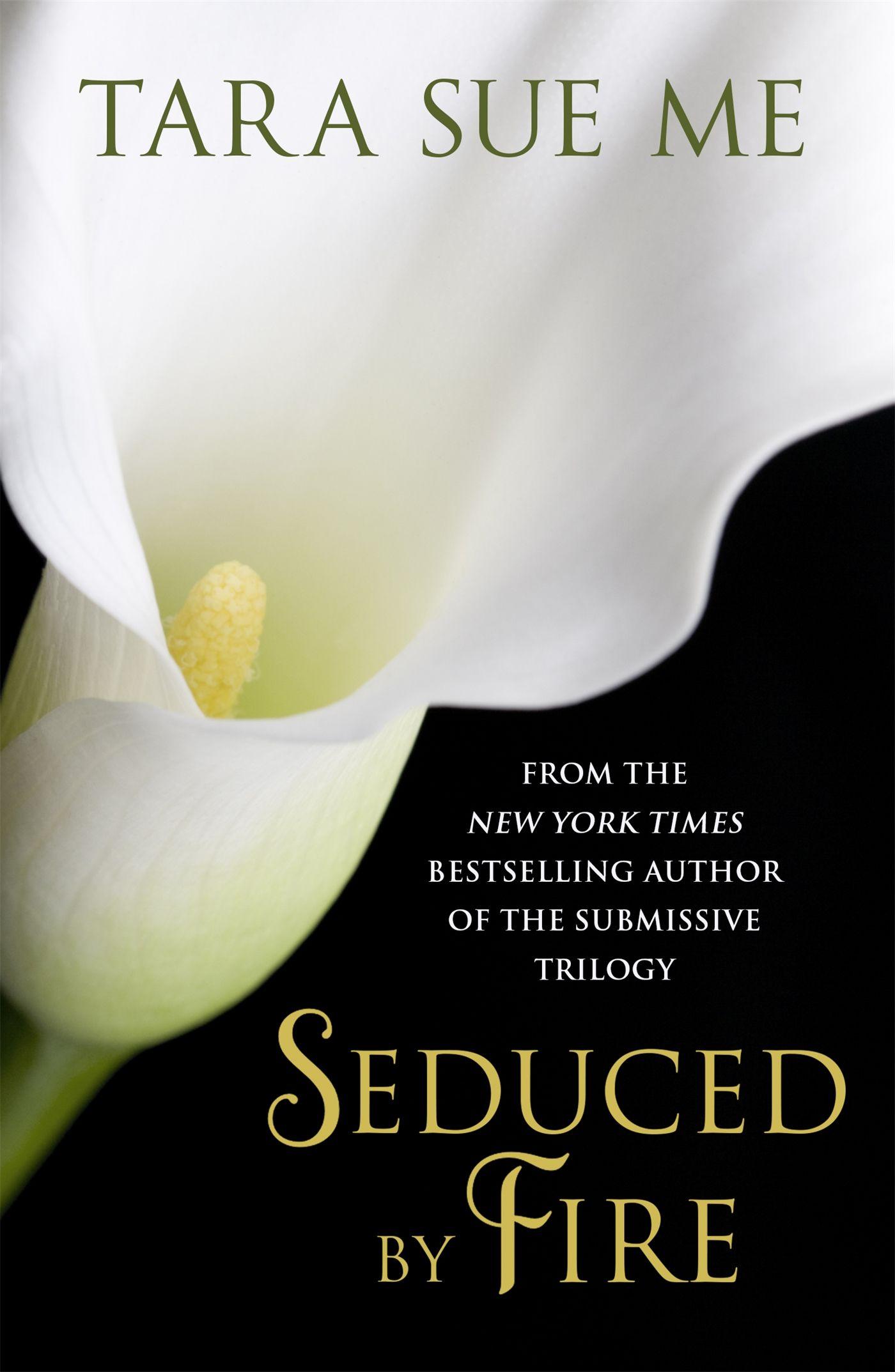 Vorderes Coverbild Seduced By Fire: A Partners In Play Novel