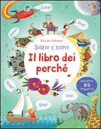 Vorderes Coverbild Il libro dei perché