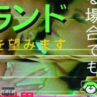 Vorderes Coverbild Kiss Land