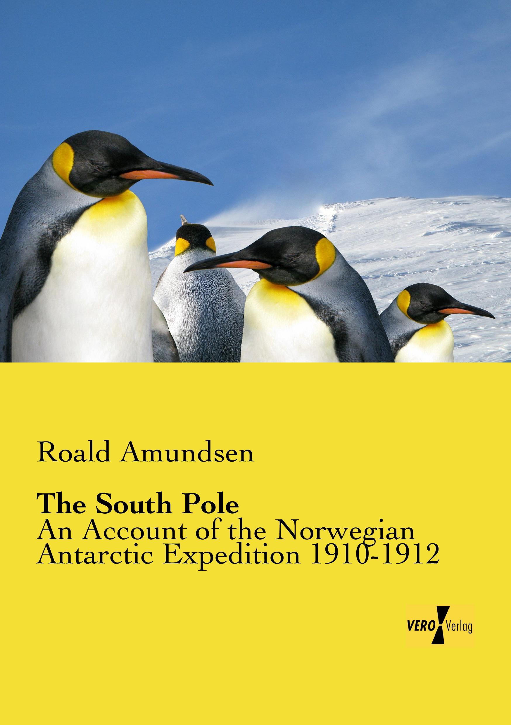 Vorderes Coverbild The South Pole
