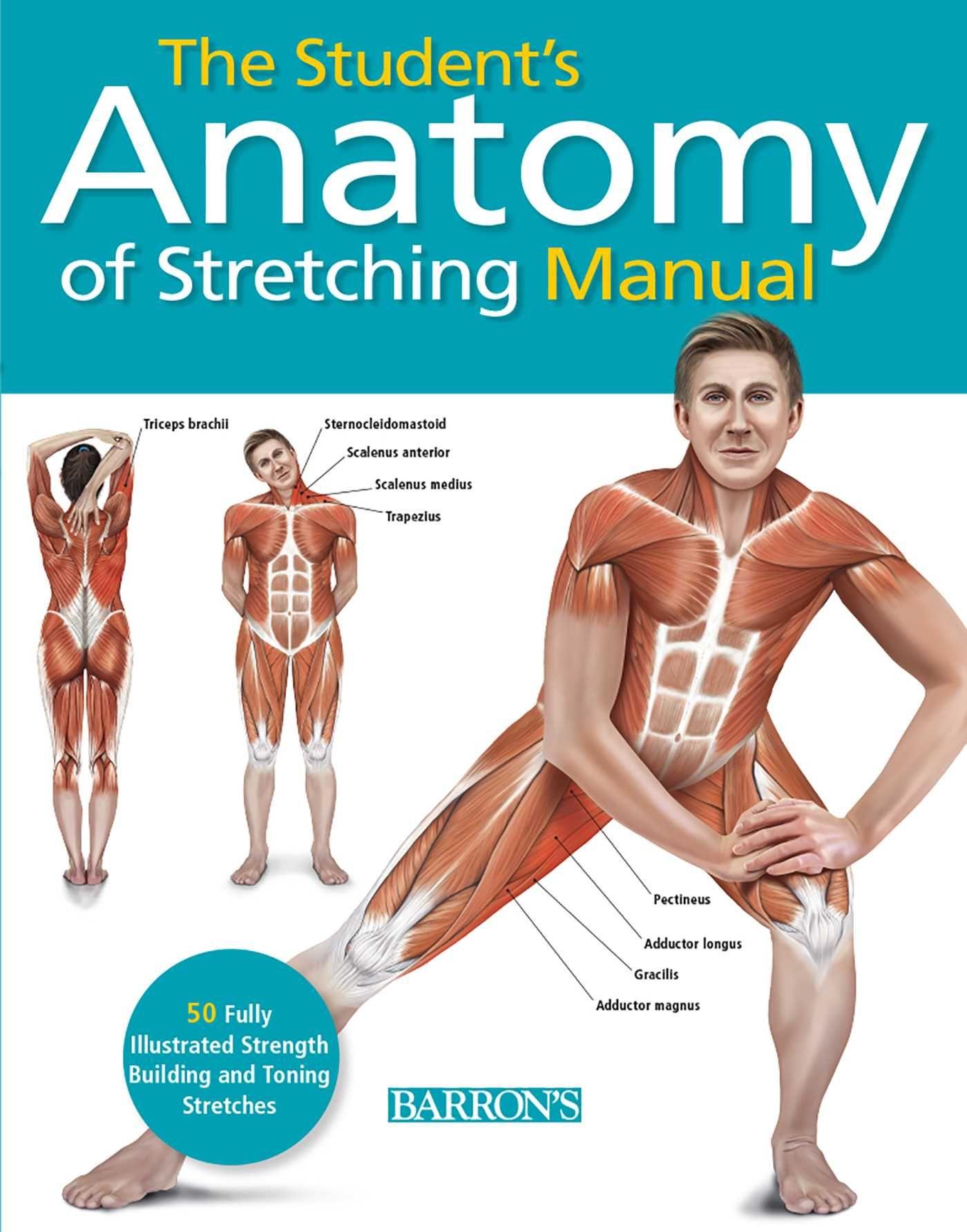 Vorderes Coverbild Student's Anatomy of Stretching Manual