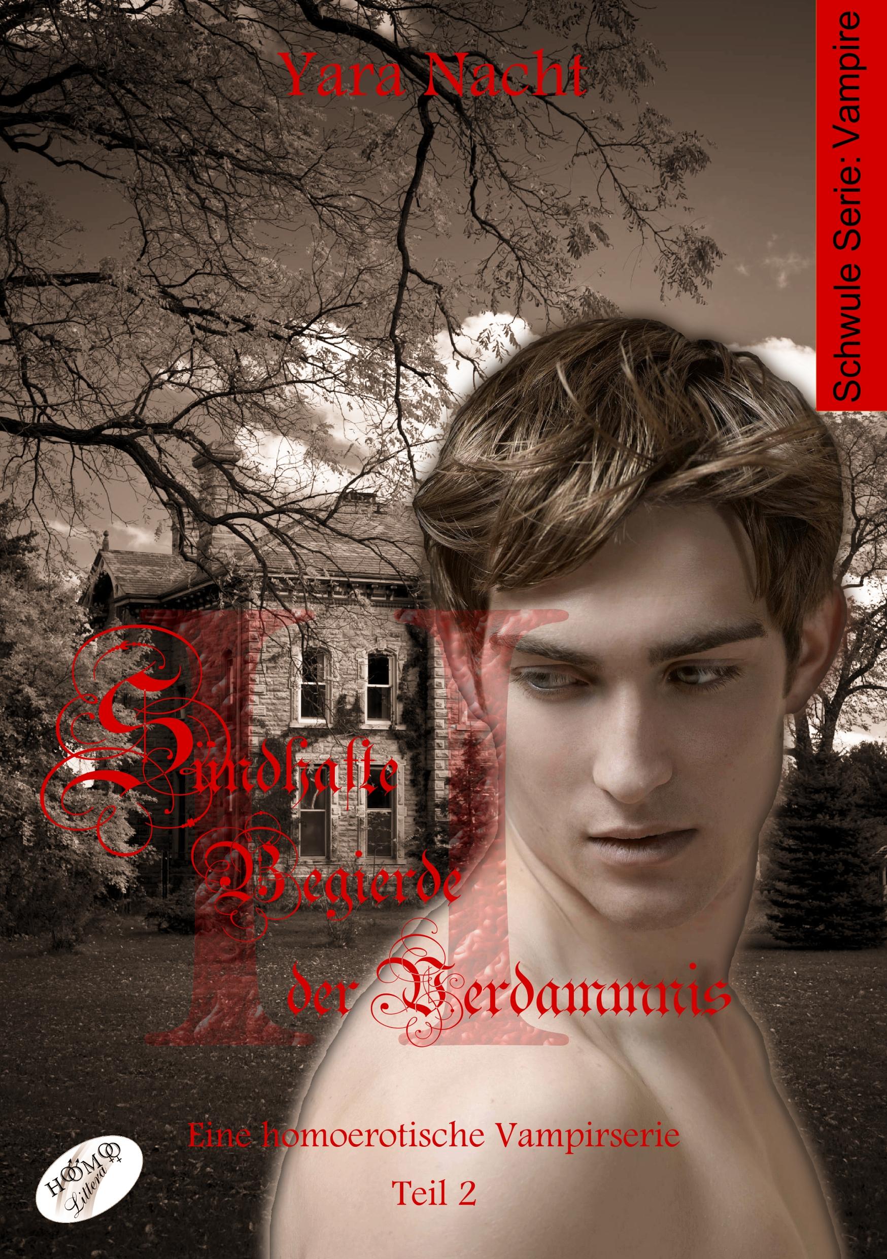 Vorderes Coverbild Sündhafte Begierde der Verdammnis II