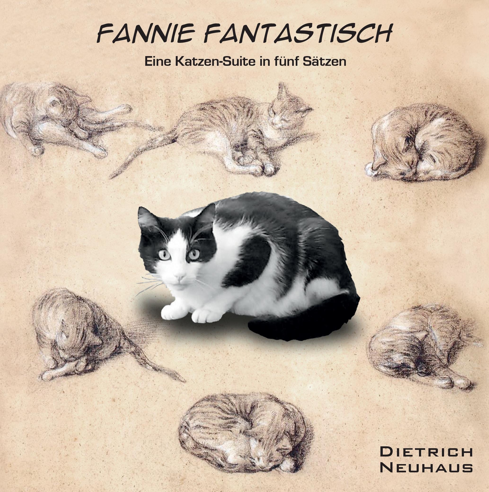 Vorderes Coverbild Fannie Fantastisch