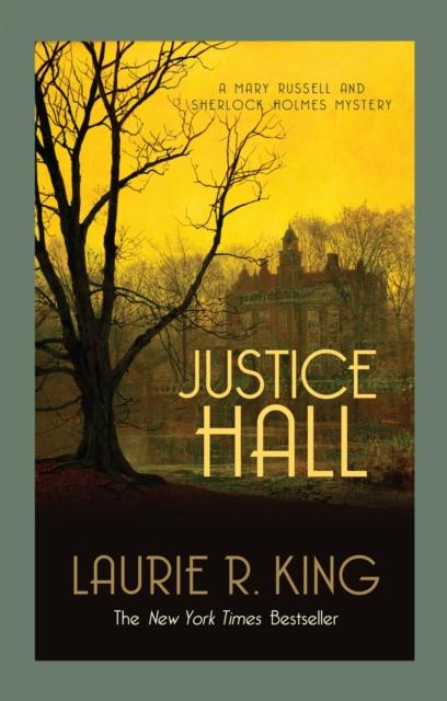 Vorderes Coverbild Justice Hall