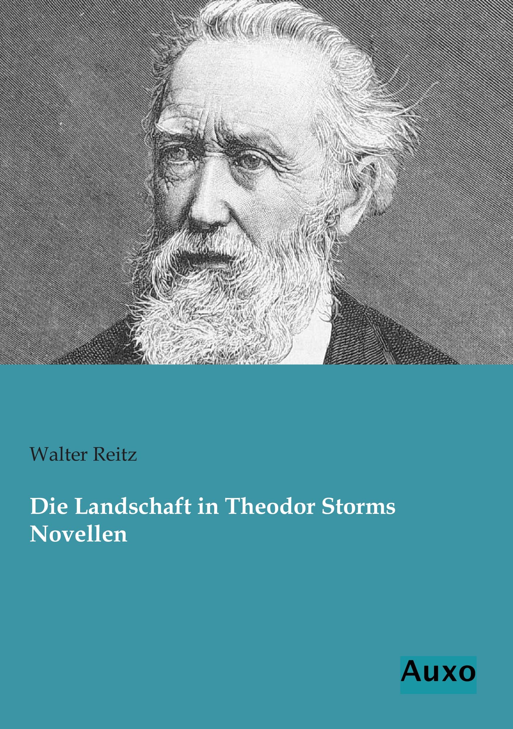 Vorderes Coverbild Die Landschaft in Theodor Storms Novellen