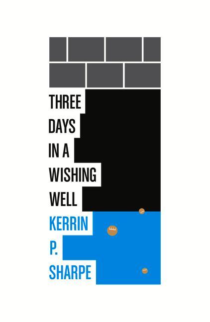 Vorderes Coverbild Three Days in a Wishing Well