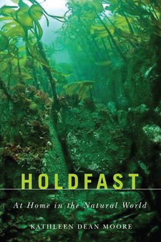 Vorderes Coverbild Holdfast